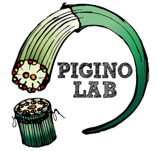 Pigino Lab