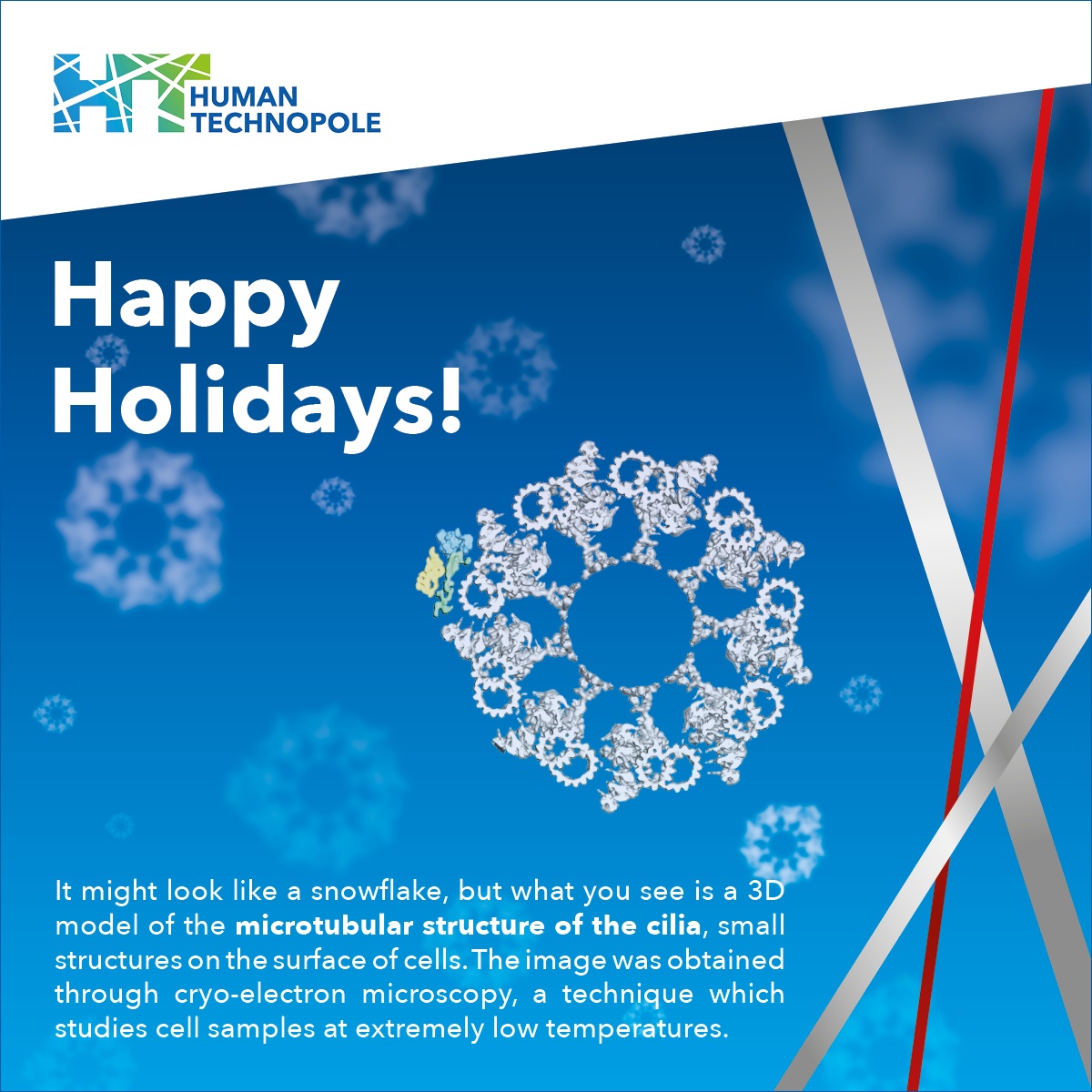 Happy holidays from Human Technopole!