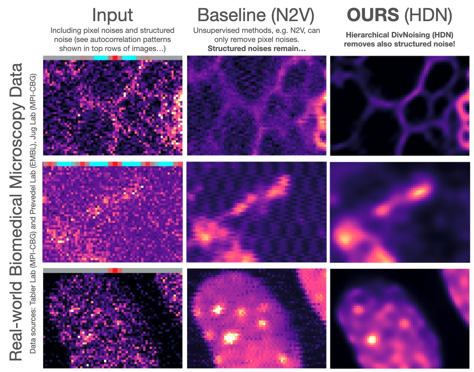 “Interpreting” noise to remove image artifacts