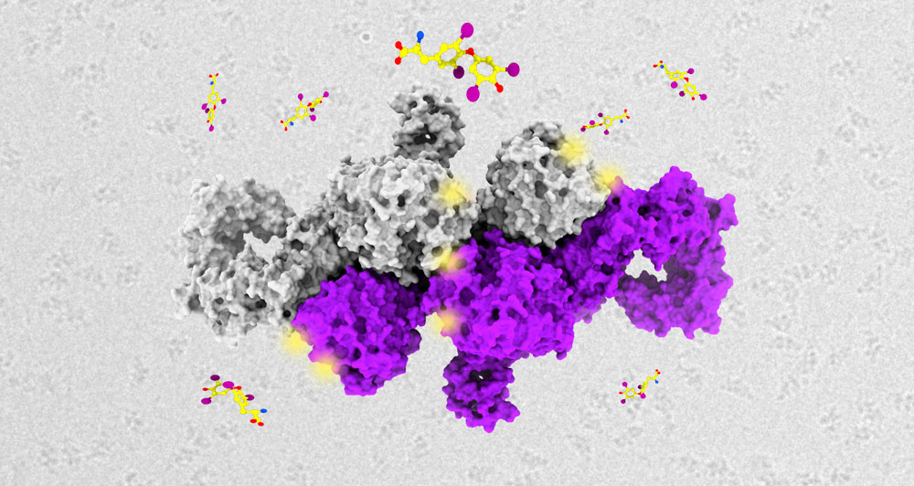 Post-translational modifications in control of human thyroglobulin