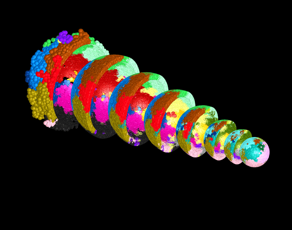 Studiare il genoma eucariotico in 3D