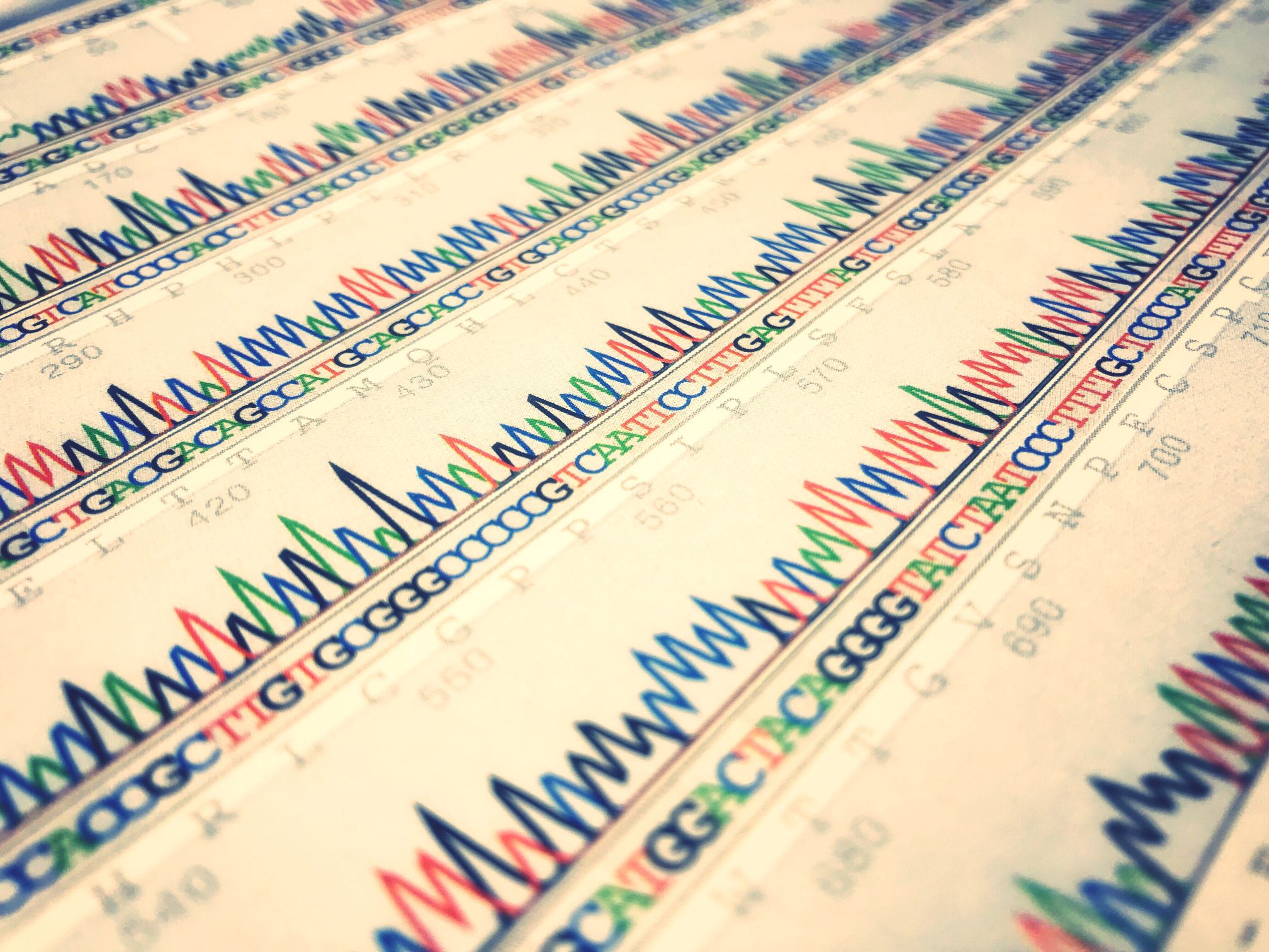 Genome-wide association studies to understand immune diseases