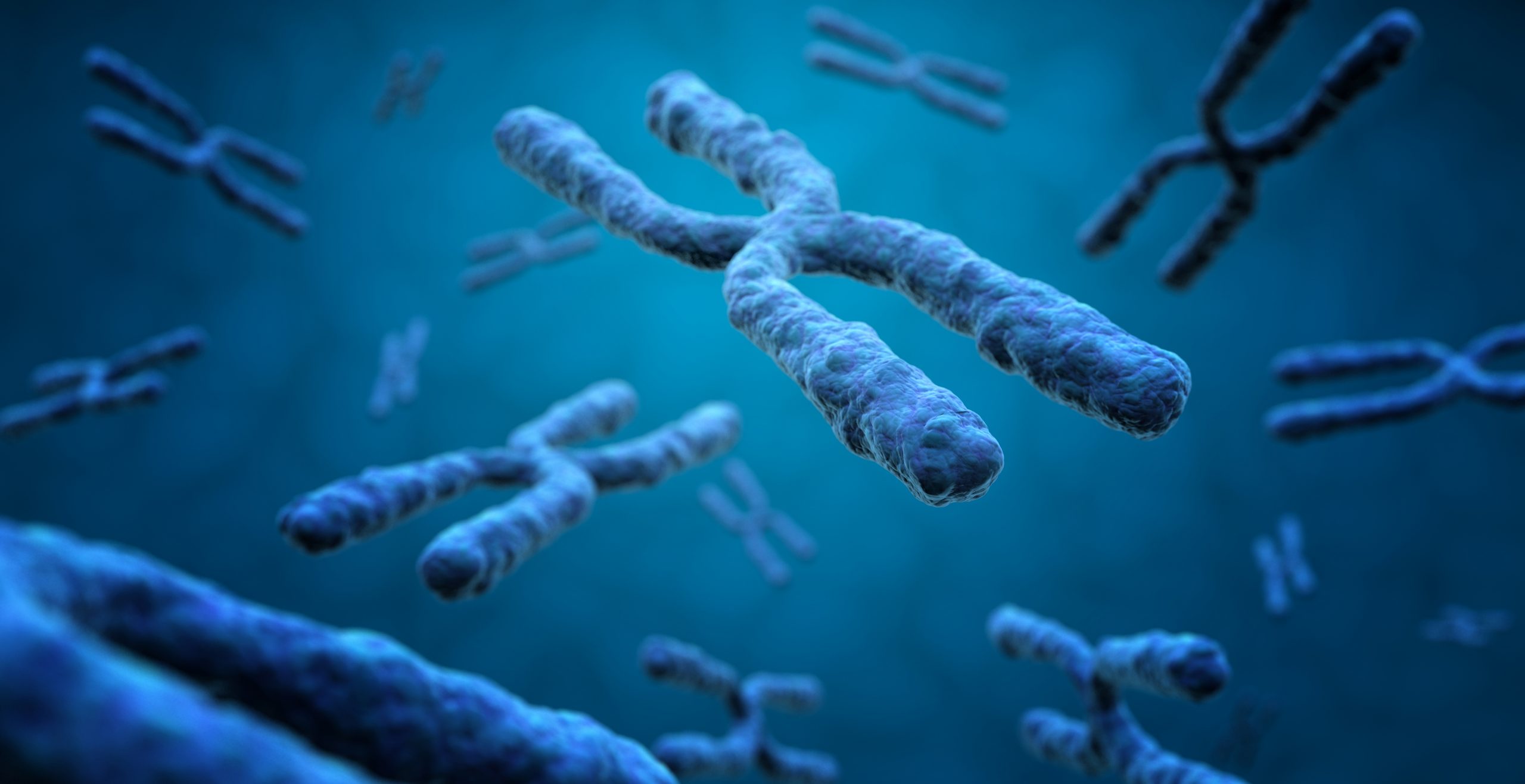 Measuring chromatin compaction with FRET-FISH